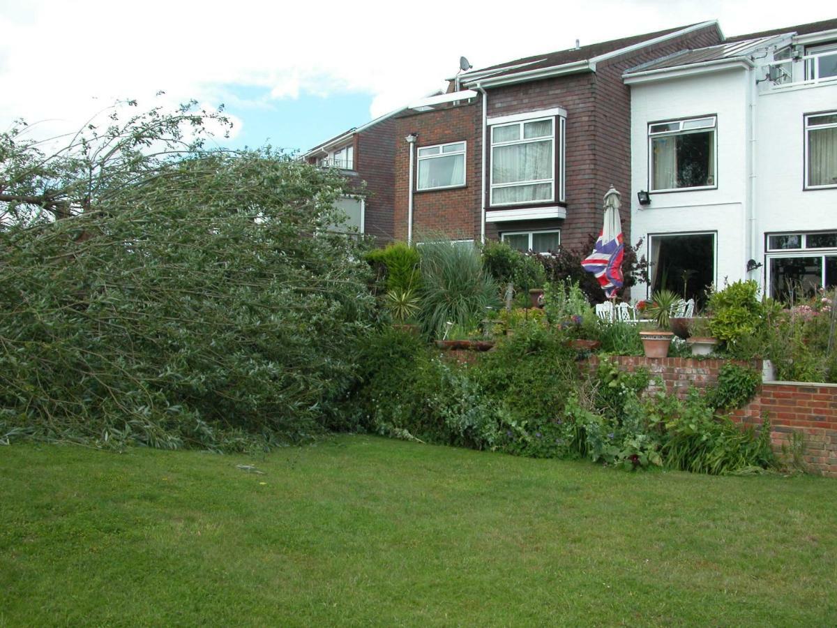 Chiswick Riviera With Free Parking Bed & Breakfast London Eksteriør bilde
