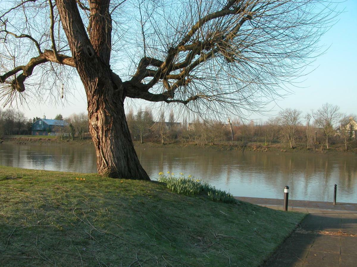 Chiswick Riviera With Free Parking Bed & Breakfast London Eksteriør bilde