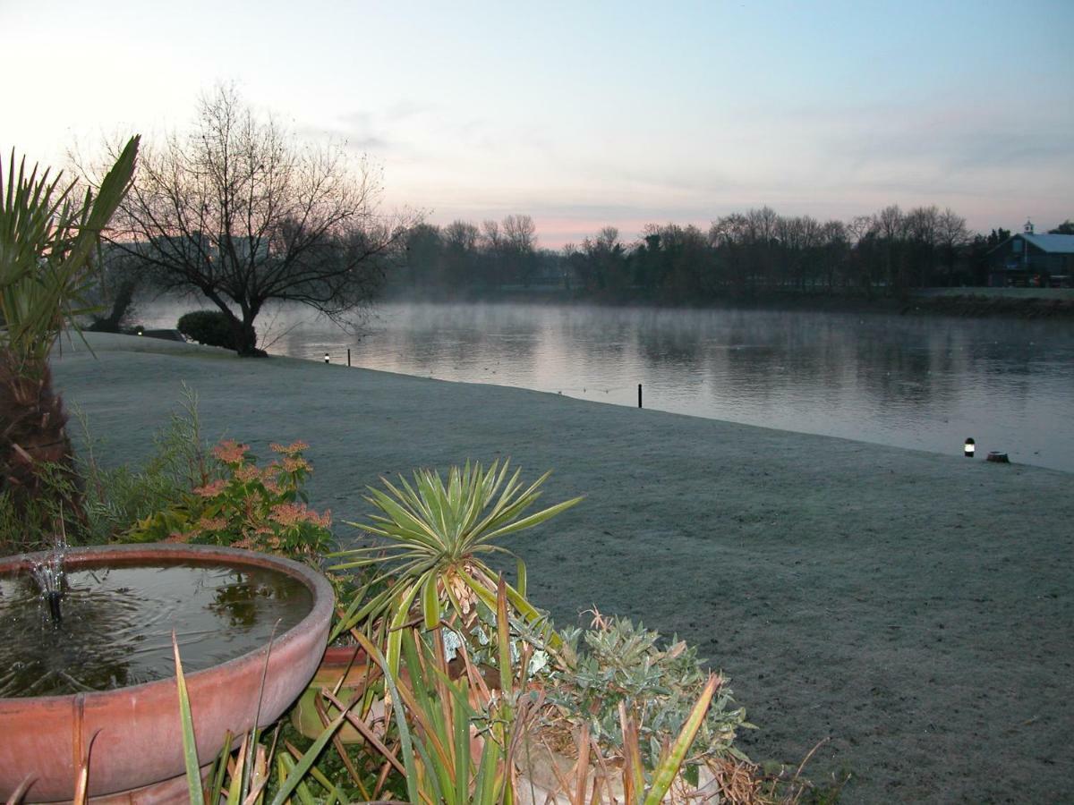 Chiswick Riviera With Free Parking Bed & Breakfast London Eksteriør bilde